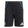 Newcastle United 25/26 Men's Home Long Sleeve Shirt