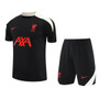 Liverpool 25/26 Men's Black Training Shirt