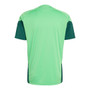 Mexico 2026 Men's Green Training Shirt