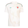 Wales 2026 Stadium Men's Away Shirt