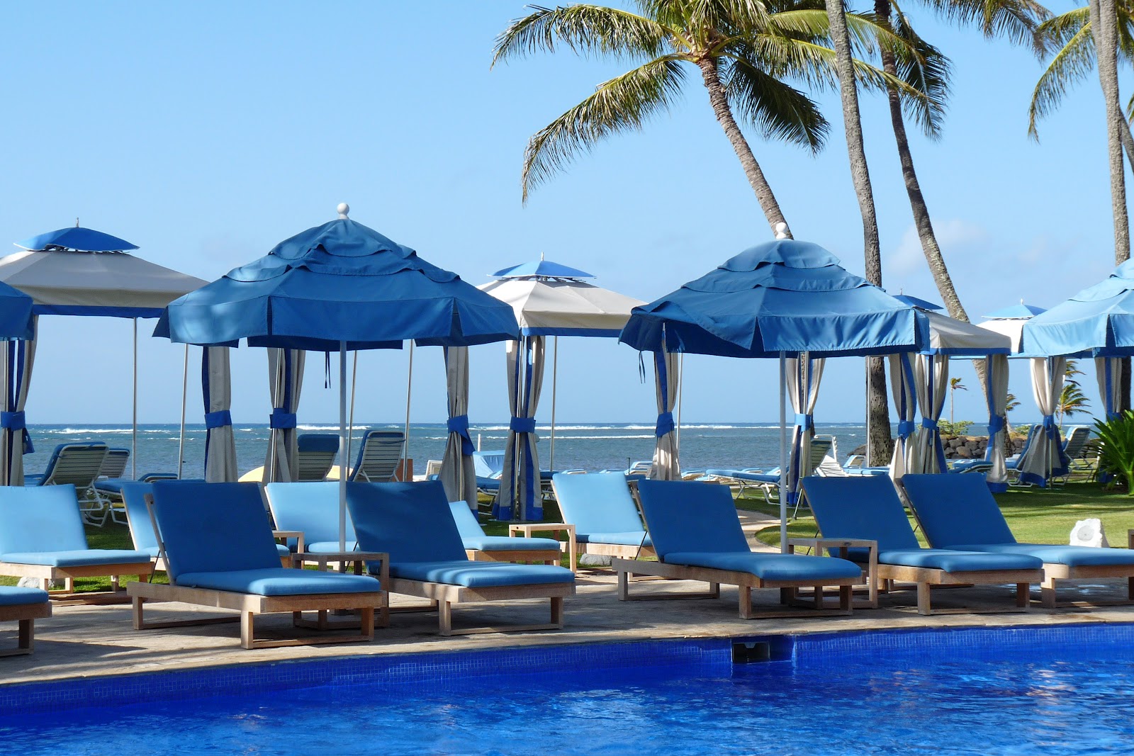 pool lounge chair with umbrella