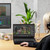 Adder WS being used for animation