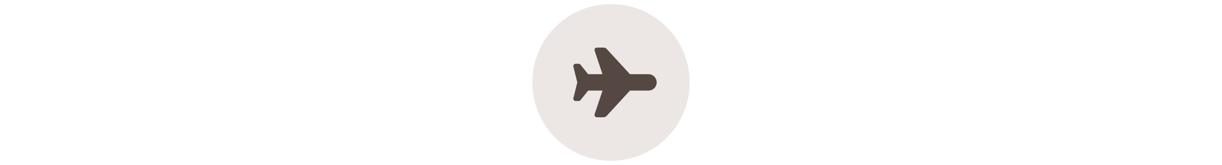 plane icon