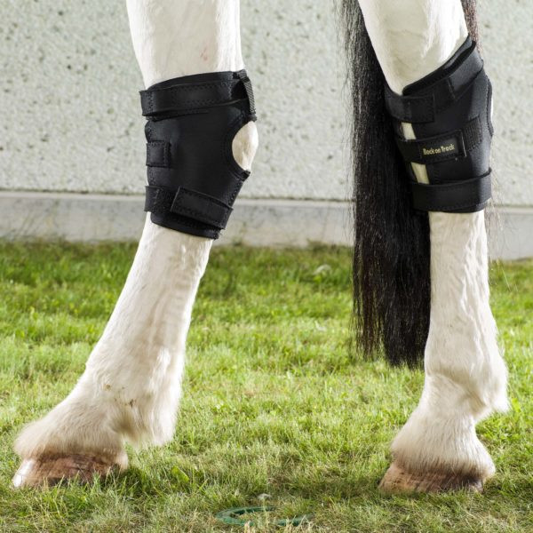 Back on Track Therapeutic Hock Wraps for Horses
