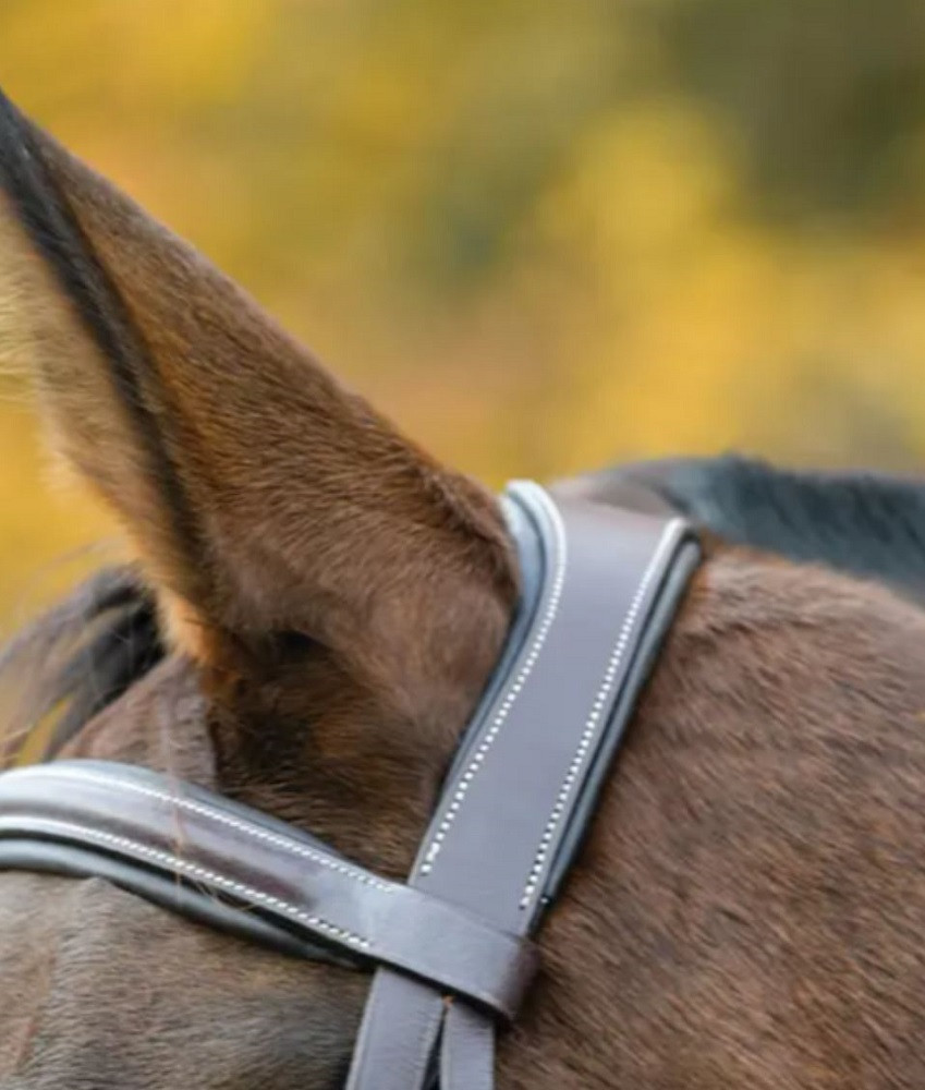 Shires Avignon Ocala Bridle - Thumbnail 5