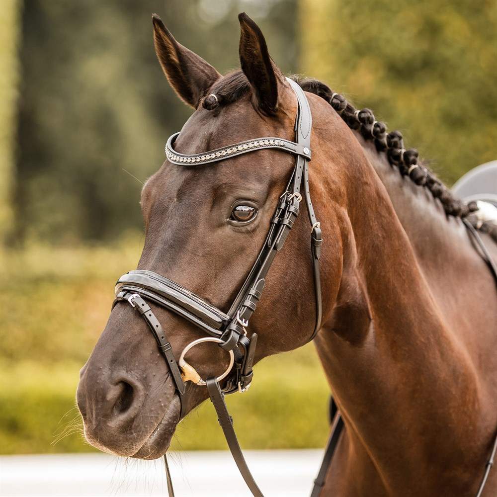 Horze Classic Dressage Ergonomic Bridle with Curved Browband