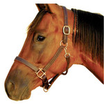 Intrepid 1" Triple Stitched Halter with Solid Brass Hardware