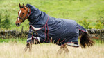 LeMieux® Kudos Thermo Layer Turnout Blanket - 300g LeMieux® Kudos Thermo Layer Turnout Blanket - 300g