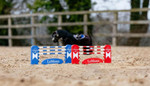 LeMieux® Toy Pony Jump Set