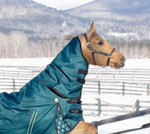Equinavia Arktis Turnout Neck Cover - No Fill Equinavia Arktis Turnout Neck Cover - No Fill