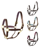 Perri's® 1" Padded Leather Halter