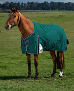 Weatherbeeta ComFiTec Plus Dynamic 0G Standard Neck Turnout Blanket