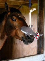 LeMieux® Horse Toy - Shark