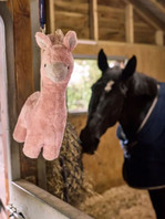 LeMieux® Plush Horse Toy - Llama