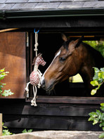LeMieux® Horse Toy - Giraffe