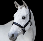 Lumiere Vegas Glitter Leather Halter