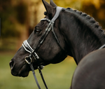 Lumiere Adeline Leather Cavesson Bridle