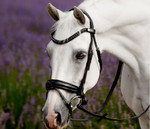 Lumiere Arcadia Luxury Leather Bridle (Hanoverian)