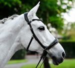 Lumiere Skyla Bitless Bridle