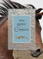 With Deepest Sympathy (Horse and Leather) Sympathy Card