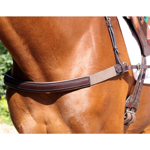 Martingales & Breastplates