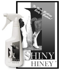 Shiny Hiney™