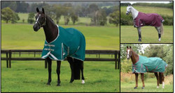 WeatherBeeta ComFiTec Plus Dynamic II Standard Neck Lite