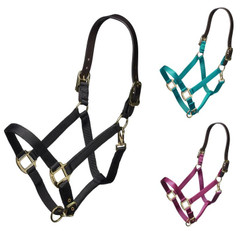 Shires Nylon Halter with Leather Head Strap
