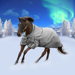 Equinavia Arktis Extended Neck Light Weight Turnout Blanket Equinavia Arktis Extended Neck Light Weight Turnout Blanket