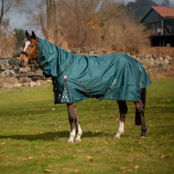 Equinavia Arktis Regular Neck Turnout Sheet