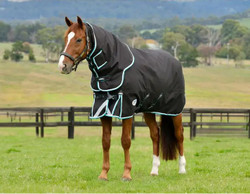 Weatherbeeta ComFiTec Ultra Comfi Detach-A-Neck Heavy Weight Blanket