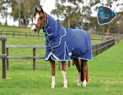 Weatherbeeta ComFiTec Ultra Hardi Detach-A-Neck Medium Weight Blanket