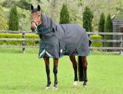 Weatherbeeta ComFiTec Plus Dynamic II Detach-A-Neck Medium
