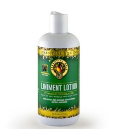 Essential Equine Liniment Lotion - 16oz