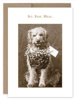Shannon Martin Design: Sit, Stay Heal. Get Well Soon Card