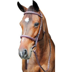 HDR Pro Fancy raised Comfort Corwn Padded Bridle