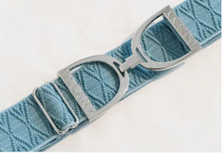 Ellany Ocean Dante - 1.5" Silver Stirrup Elastic Belt