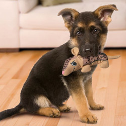 KONG® Maxx Armadillo Plush Dog Toy - Small