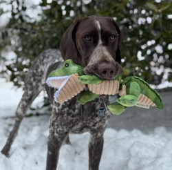 Tall Tails® Jointed Alligator Plush Dog Toy - 14"