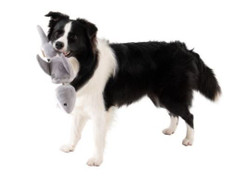 Tall Tails® Jointed Shark Plush Dog Toy - 14"
