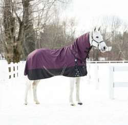 Equinavia Thunder 360 Detachable Neck Heavy Weight Blanket