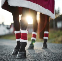Horze Santa Leg Wraps - Set of 4