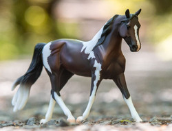 Breyer® Pinto