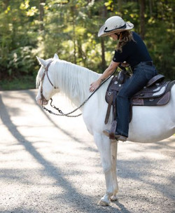 Kerrits® Stretch Denim Silicone Knee Patch Bootcut Riding Pant - Regular Length