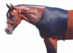Sleazy Sleepwear for Horses™ Shoulder Guard - Small