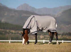 LeMieux® Kudos Gladiator 2.0 Fly Rug