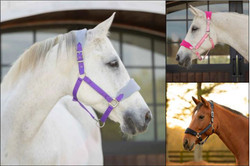 Equinavia Saga Fleece Padded Breakaway Halter