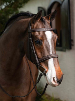 LeMieux® Stitched Hunter Bridle with Laced Reins
