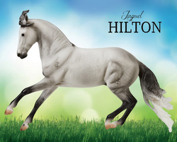 Breyer® Jaguel Hilton | Criollo Stallion