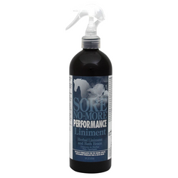 SORE NO-MORE Performance Liniment and Bath Brace - 16oz